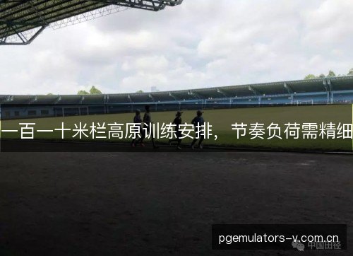 一百一十米栏高原训练安排,节奏负荷需精细 一百一十米栏高原训练安排,节奏负荷需精细