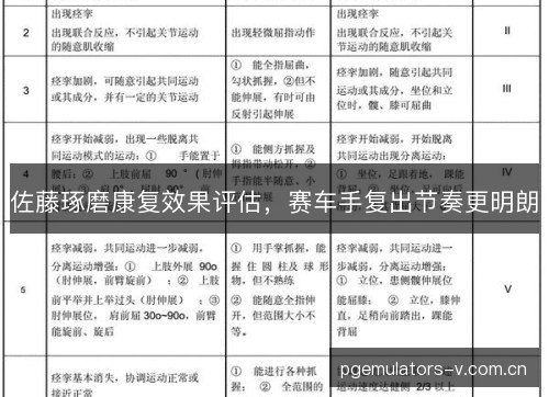 佐藤琢磨康复效果评估,赛车手复出节奏更明朗 佐藤琢磨康复效果评估,赛车手复出节奏更明朗