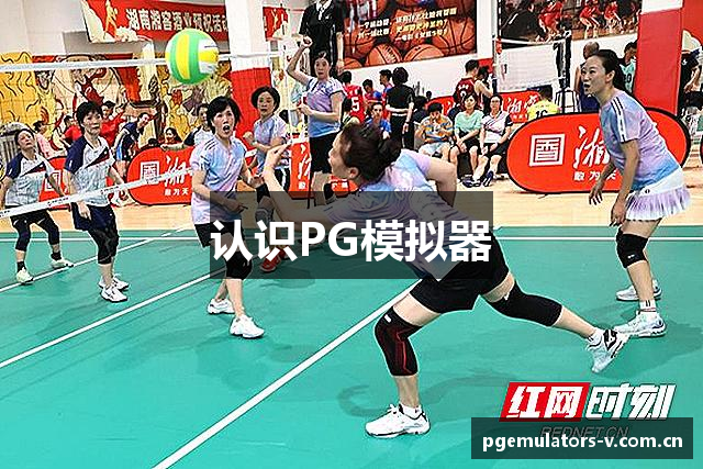 认识PG模拟器